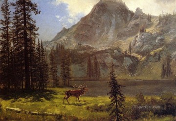 野生の呼び声 アルバート・ビアシュタット Oil Paintings